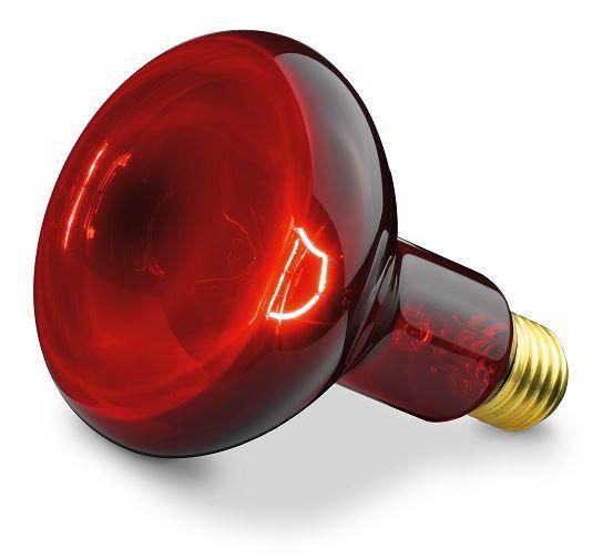 Beurer Replacement Bulb for Infrared Lamp IL 11 - 100W
