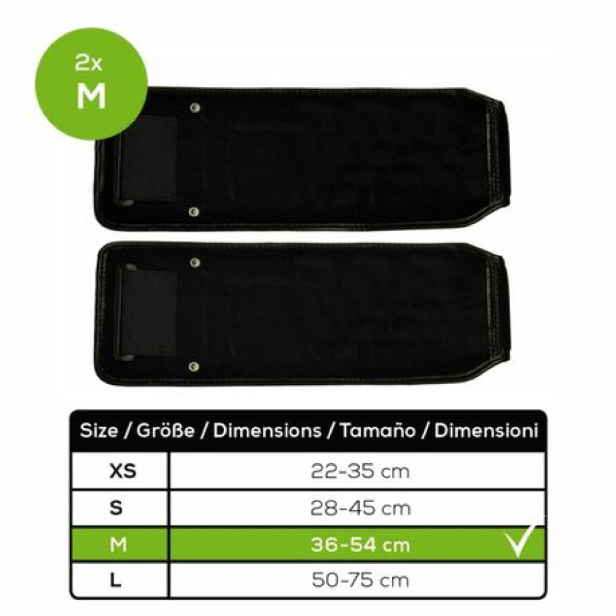 Beurer EM 95 EMS Device: Professional High-End Electrostimulation Full Body Workout at Home. With Bluetooth