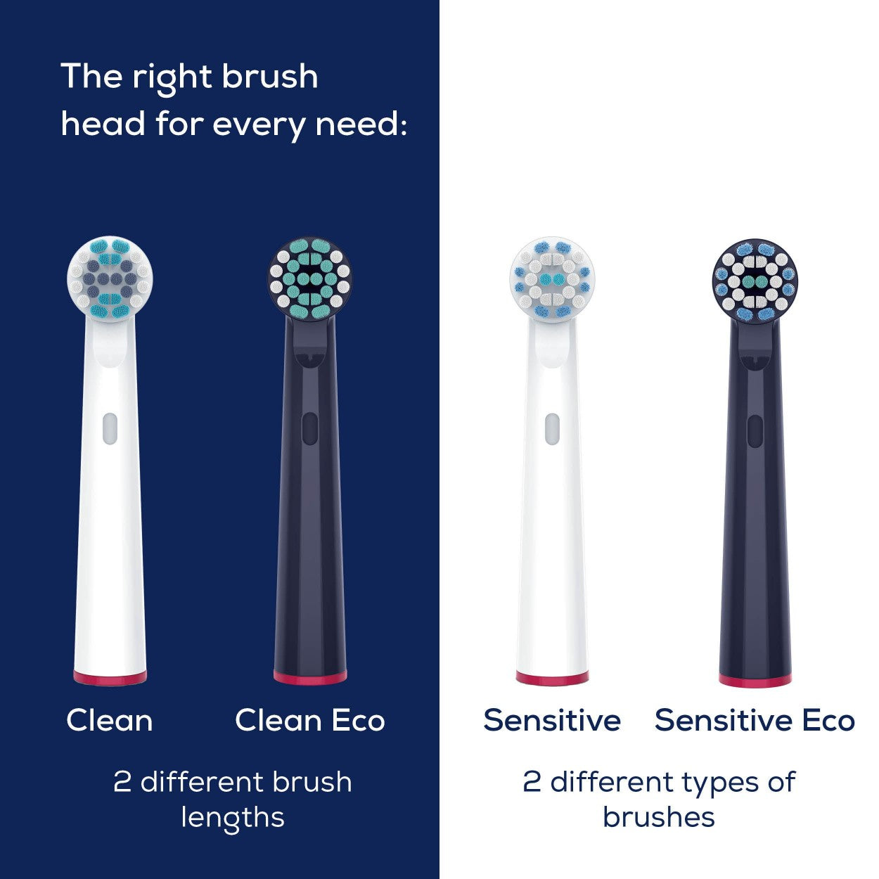 Beurer Spare Toothbrush Heads Compatible with TB, Oral B & Standard Rotating Toothbrushes - Eco Clean x4