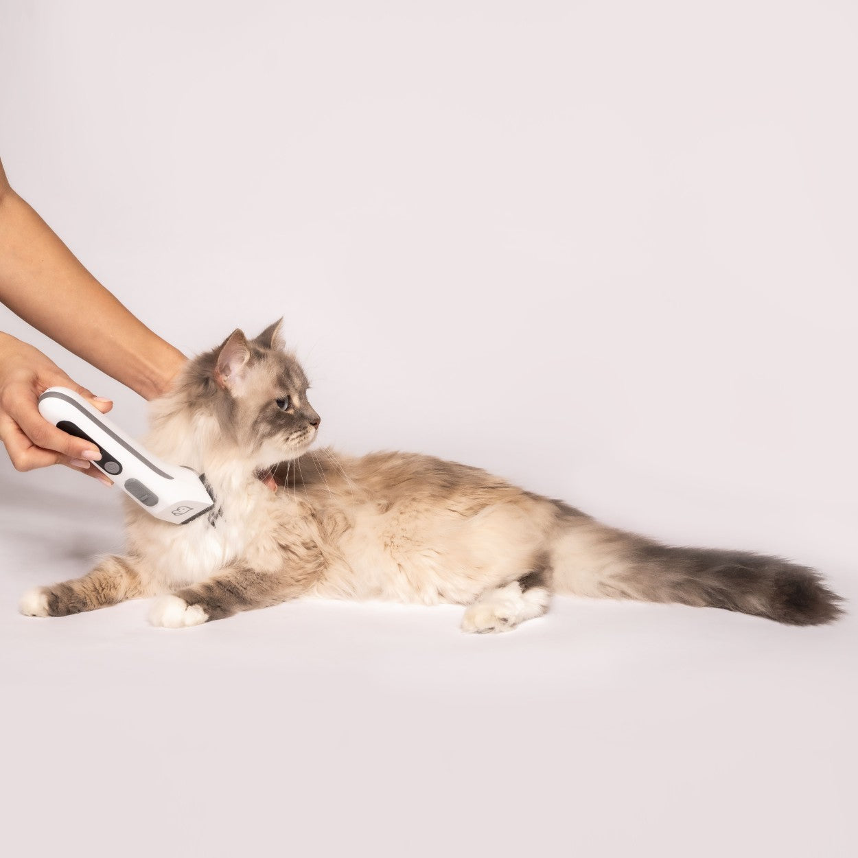 Beurer Fur Trimmer & Clipper for Dogs & Cats | Rechargeable Grooming Kit for Pets | “Fluffy”