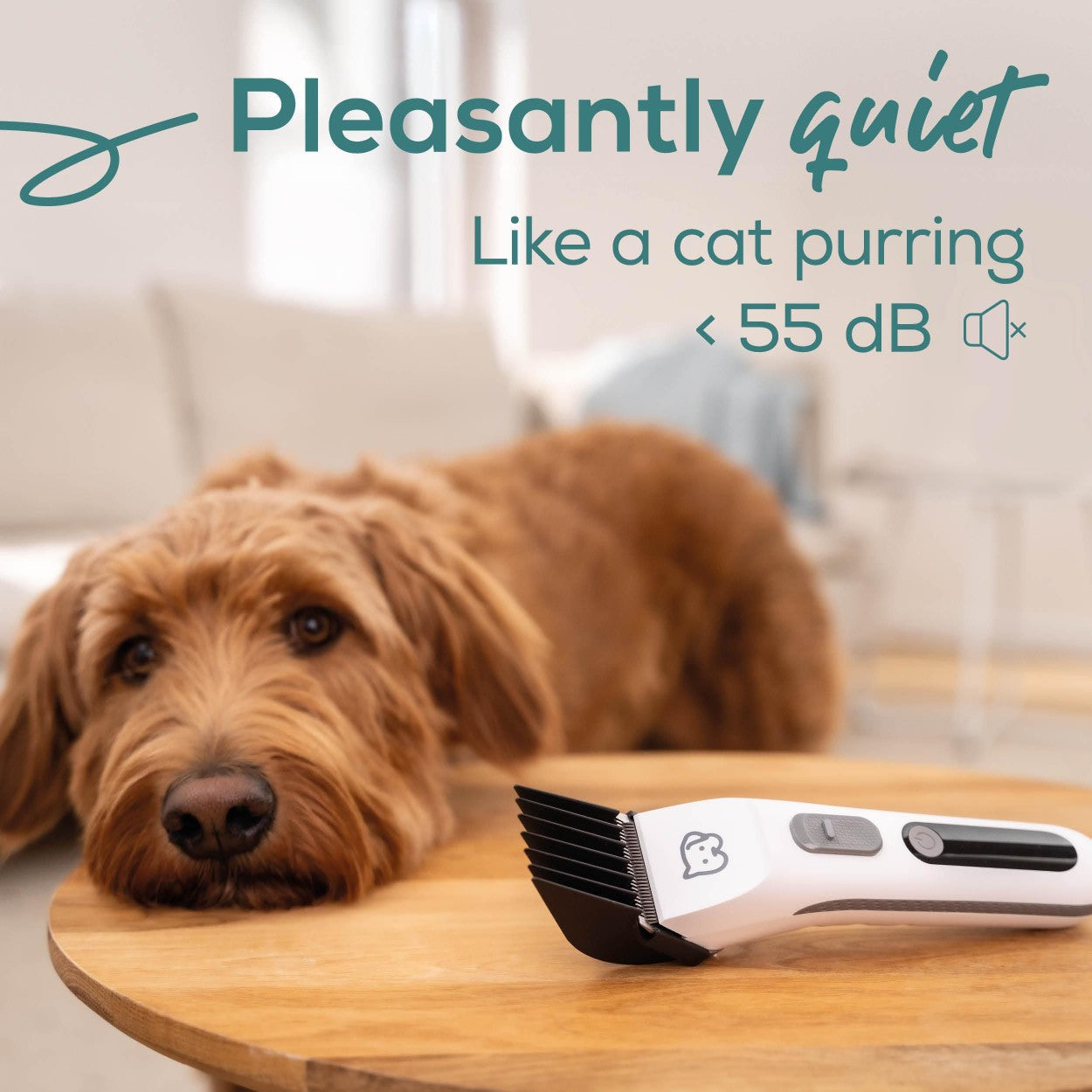 Beurer Fur Trimmer & Clipper for Dogs & Cats | Rechargeable Grooming Kit for Pets | “Fluffy”