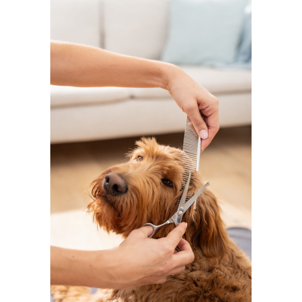 Beurer Fur Trimmer & Clipper for Dogs & Cats | Rechargeable Grooming Kit for Pets | “Fluffy”