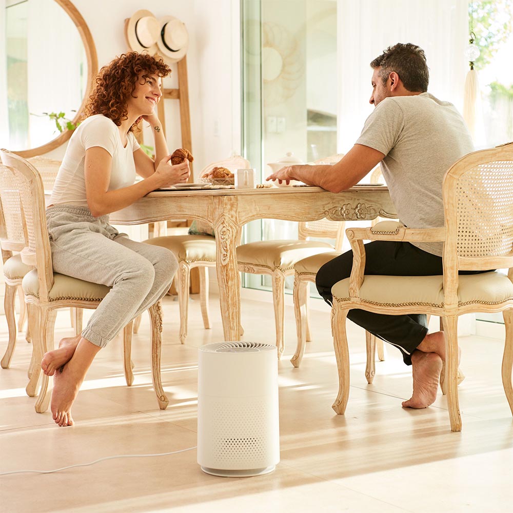 Demo - Beurer LR 220 Air Purifier with 3 Filter Layers for Pollen, Dust & Bacteria