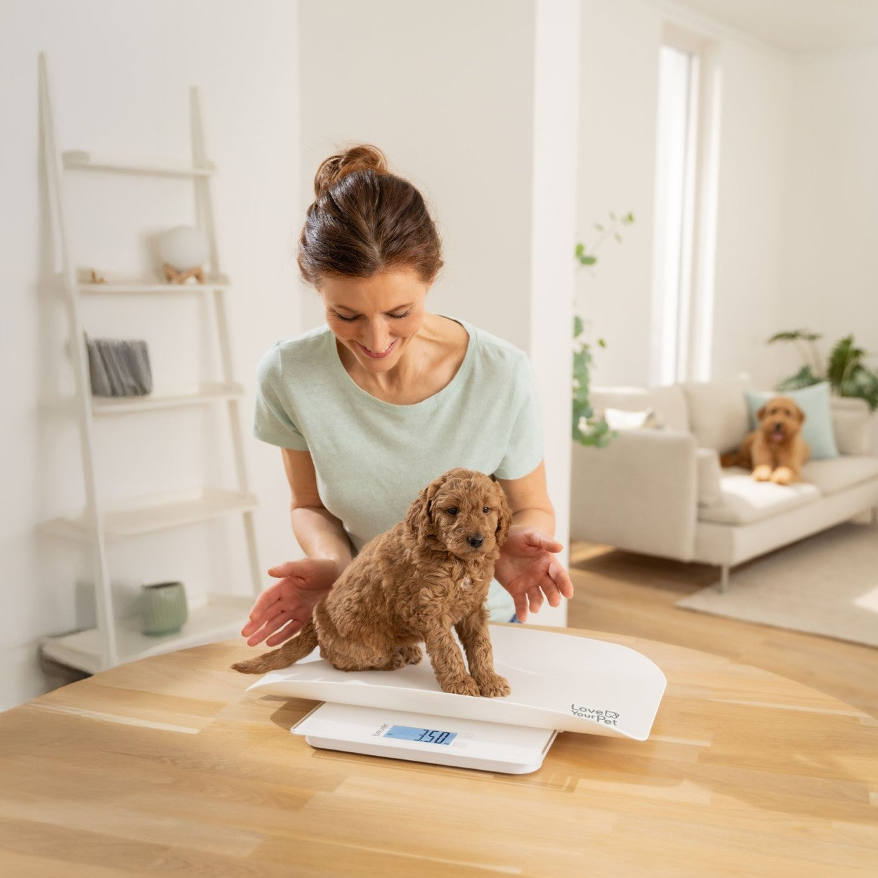 Beurer “Polly” Pet Scale | 3-in-1 Digital Weighing Scale | Pet Scale, Baby Weight Scale & Personal Bathroom Scale