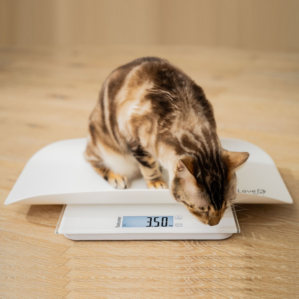 Beurer “Polly” Pet Scale | Multifunctional Digital Weighing Scale for Pets & Humans