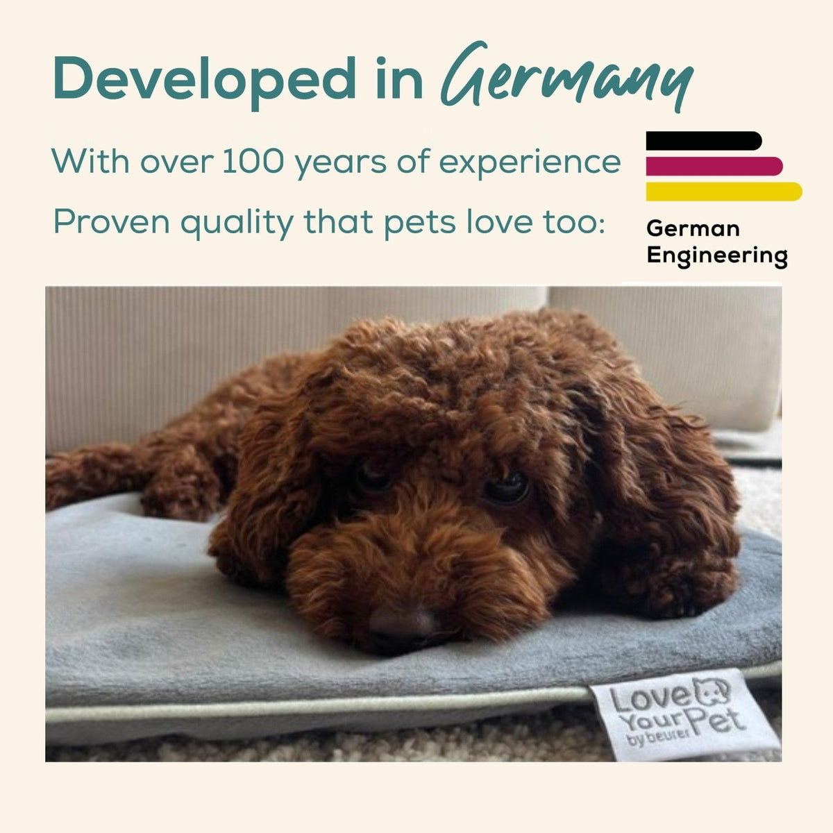Love Your Pet by Beurer - Lilli - Small Pet Heating Mat for Dogs & Cats - 41 x 34 cm