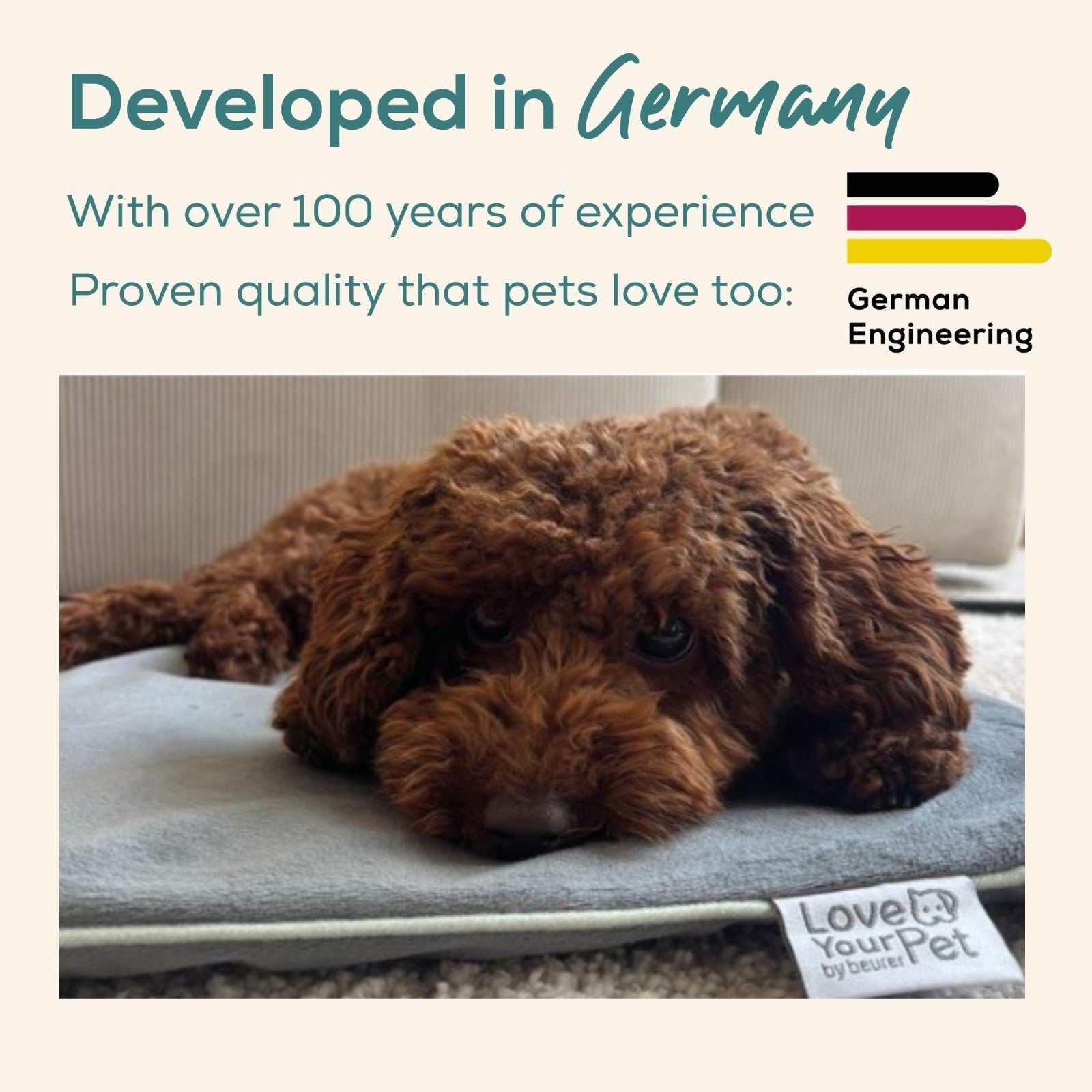 Love Your Pet by Beurer - Sammy - Large Pet Heating Mat for Dogs & Cats - 65 x 50 cm