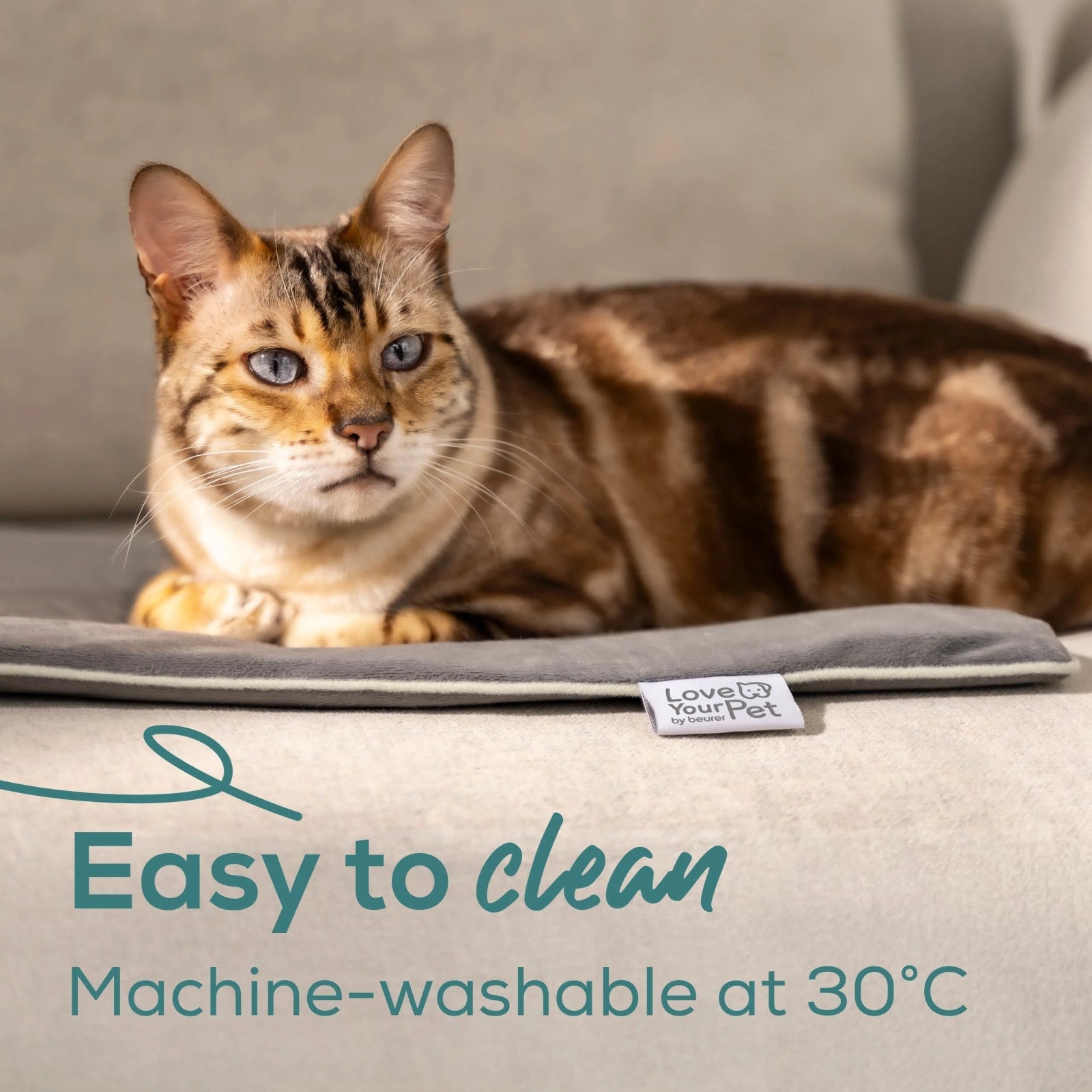 Love Your Pet by Beurer - Sammy - Large Pet Heating Mat for Dogs & Cats - 65 x 50 cm