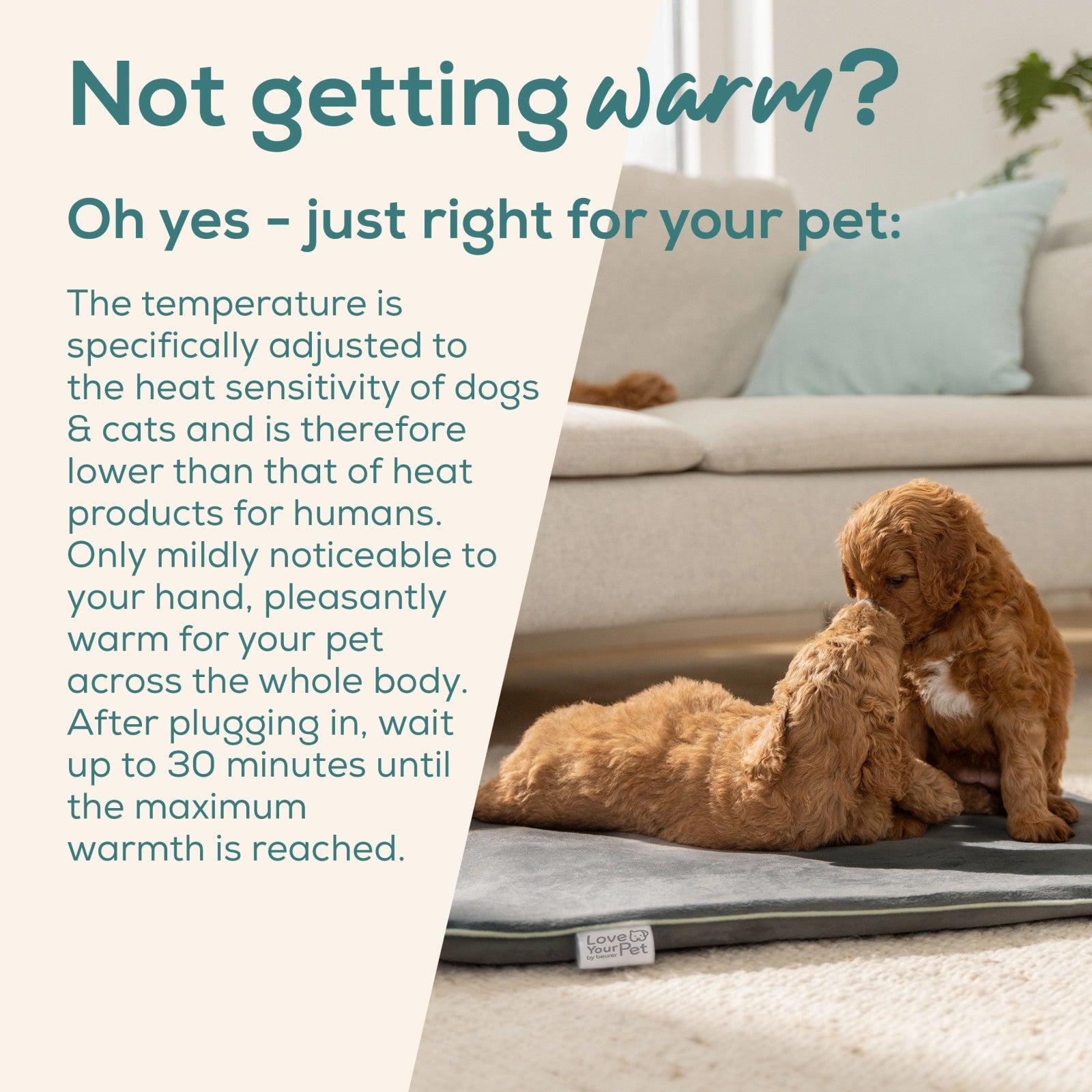 Love Your Pet by Beurer - Sammy - Large Pet Heating Mat for Dogs & Cats - 65 x 50 cm