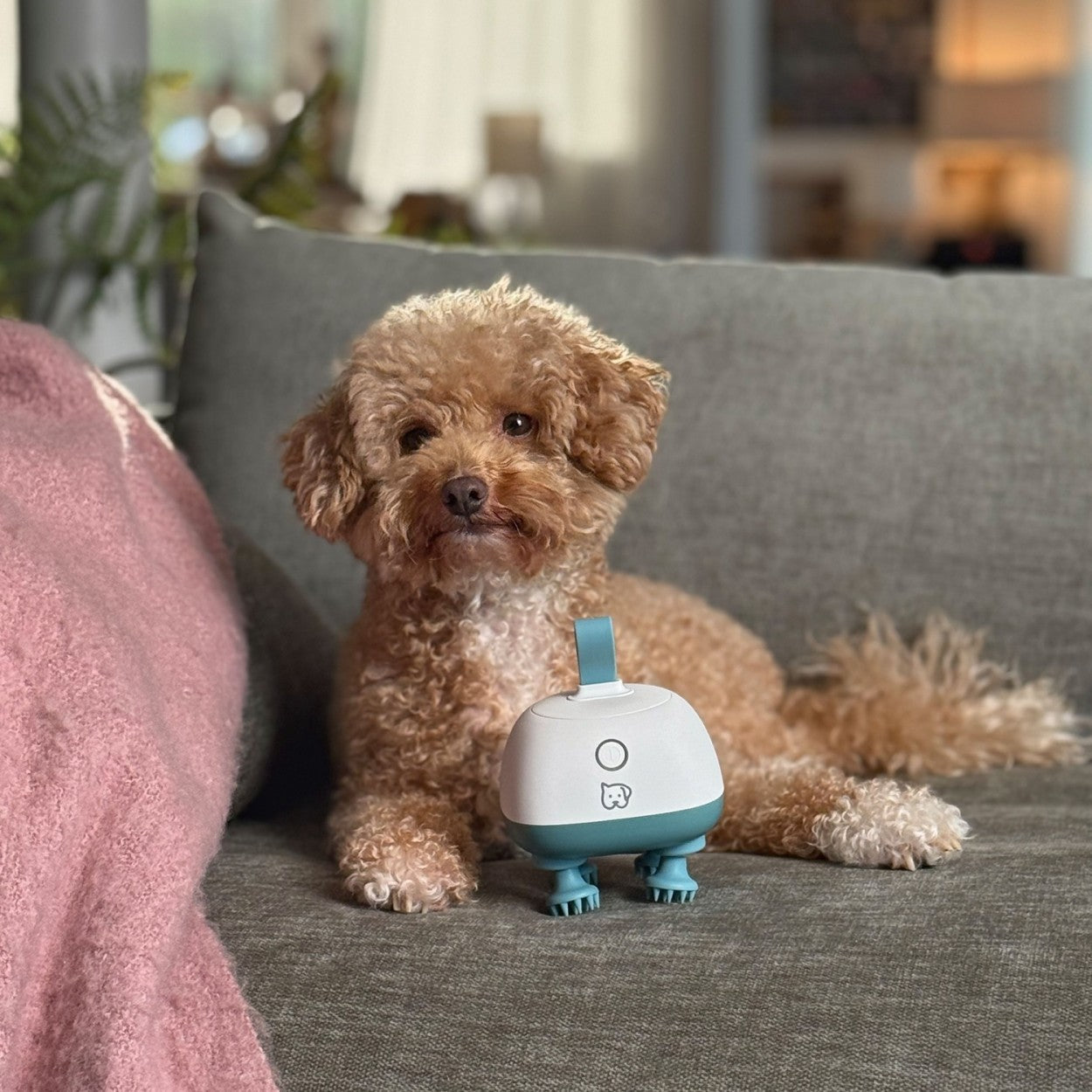 Beurer Massager for Dogs & Cats | Gentle Kneading Massage for Pets | Rechargeable | “Buddy”