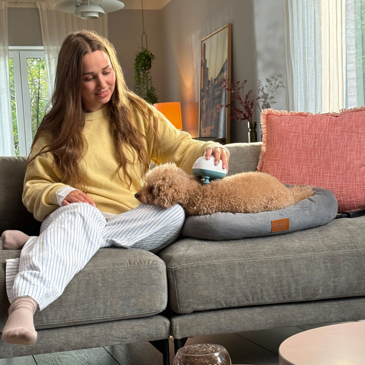 Beurer Massager for Dogs & Cats | Gentle Kneading Massage for Pets | Rechargeable | “Buddy”