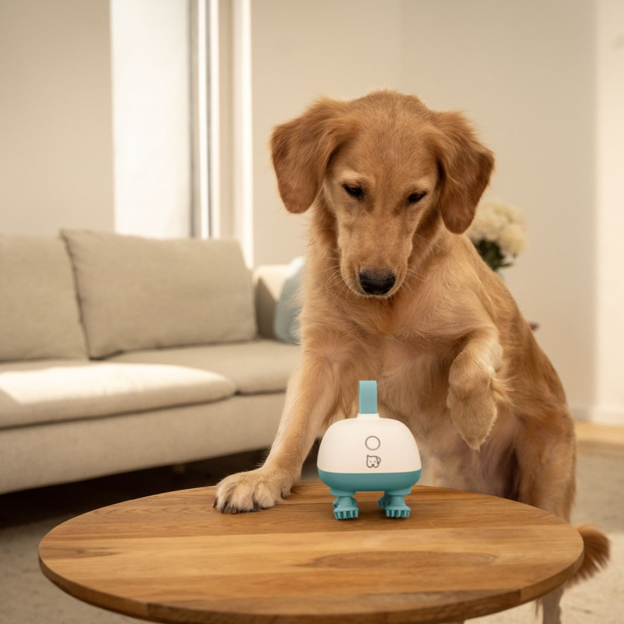 Beurer Massager for Dogs & Cats | Gentle Kneading Massage for Pets | Rechargeable | “Buddy”