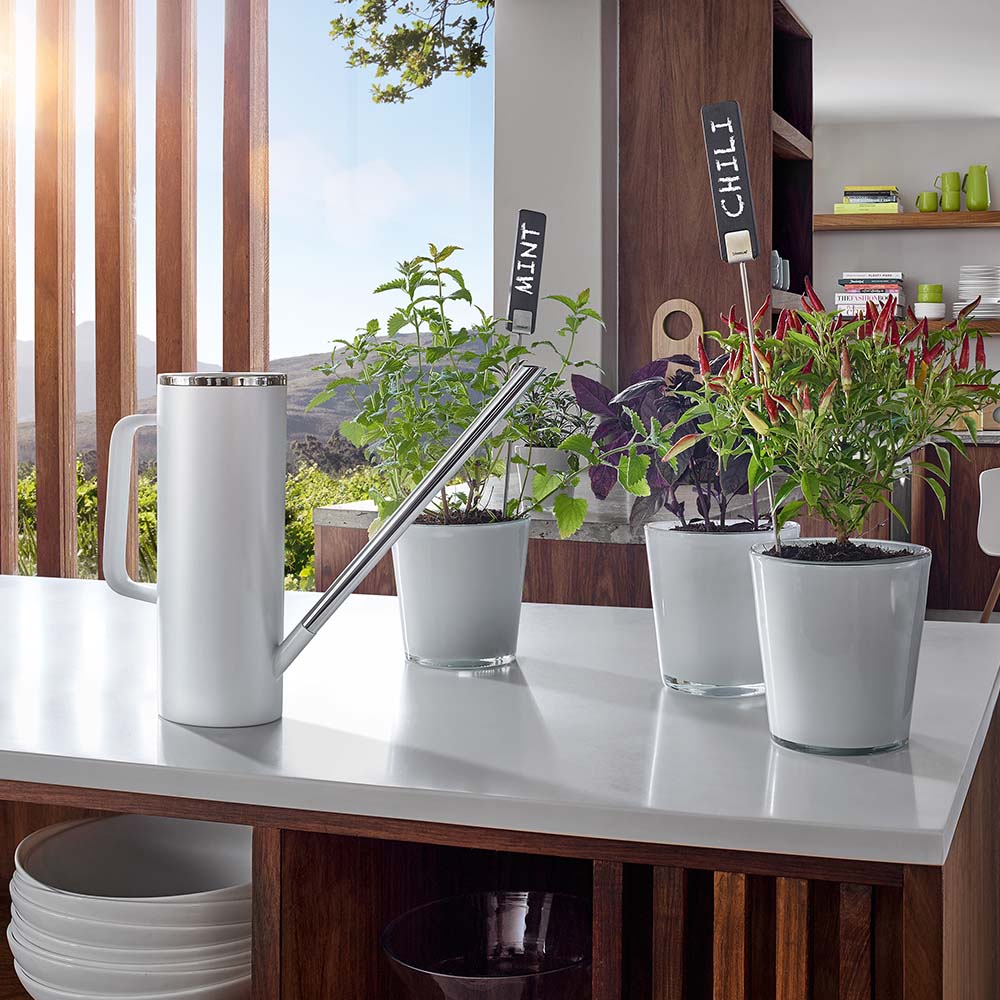 Blomus LIMBO Watering Can - 1 Litre Anthracite