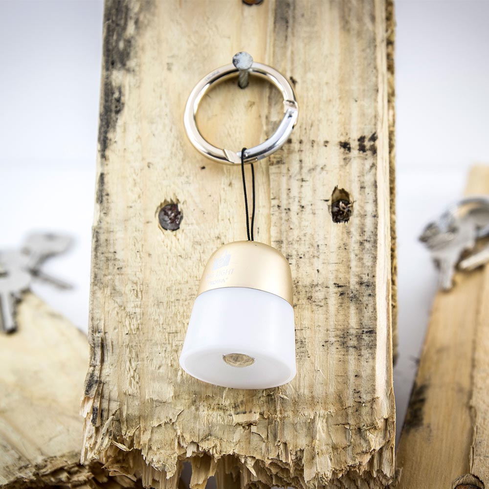 TROIKA Mini LED Bag Torch BAG LIGHT – Rose Gold Colour