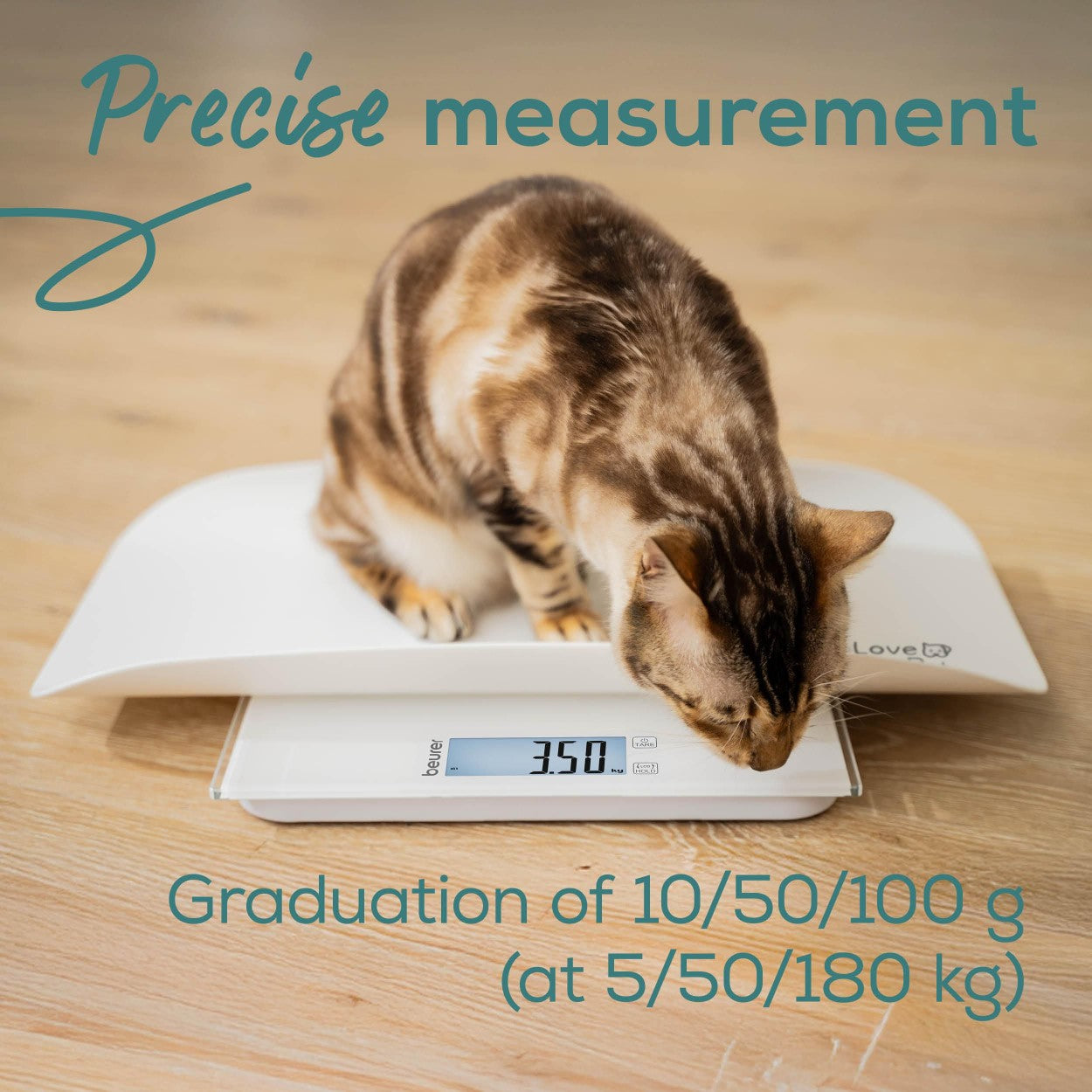 Beurer “Polly” Pet Scale | Multifunctional Digital Weighing Scale for Pets & Humans