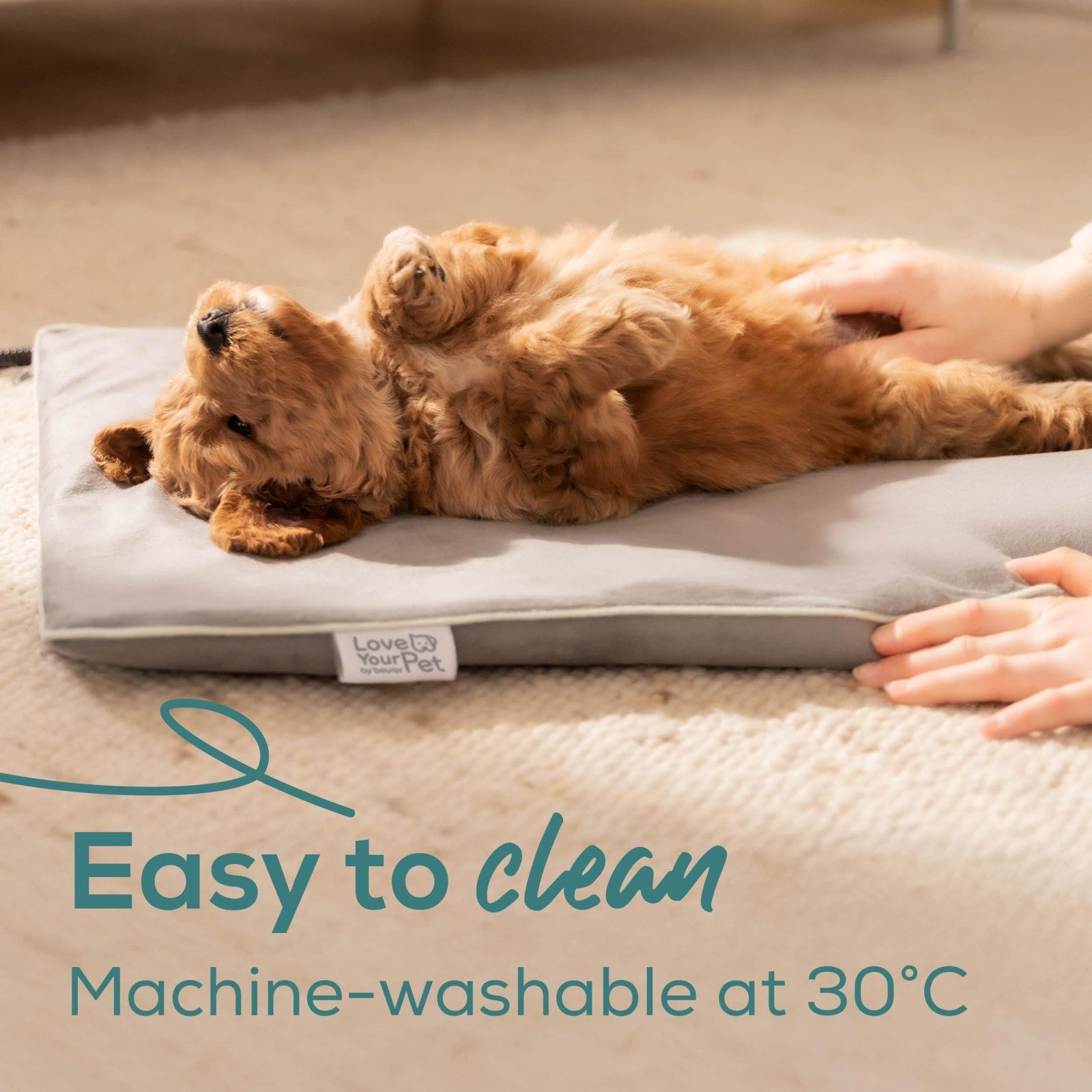 Love Your Pet by Beurer - Lilli - Small Pet Heating Mat for Dogs & Cats - 41 x 34 cm