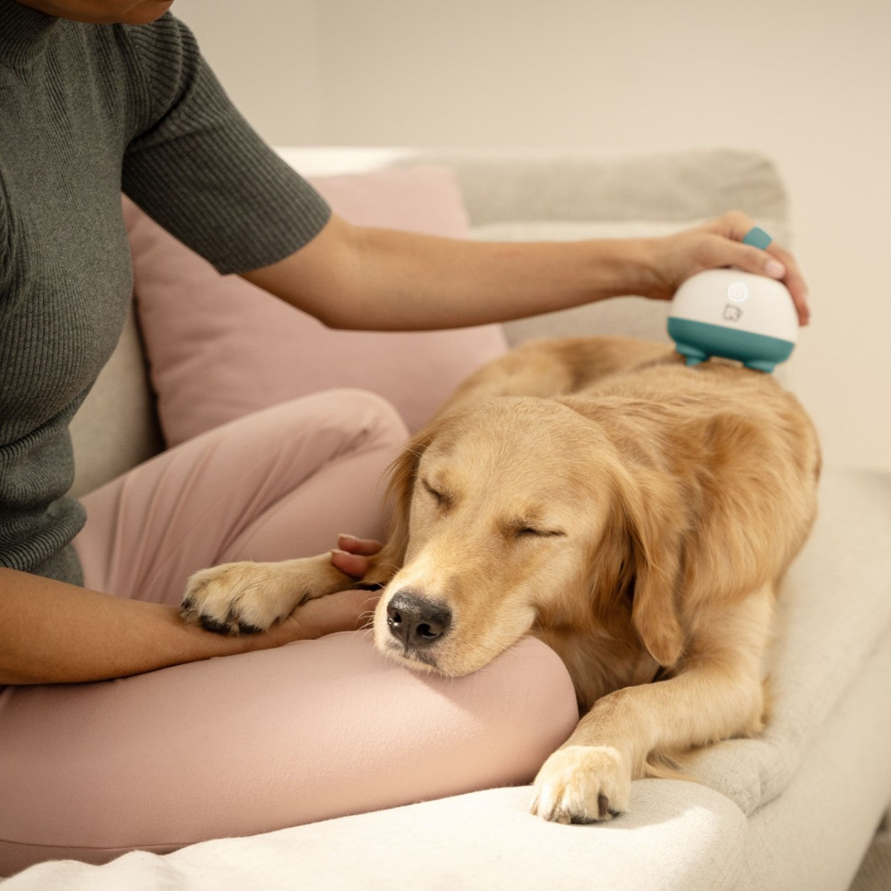 Beurer Massager for Dogs & Cats | Gentle Kneading Massage for Pets | Rechargeable | “Buddy”