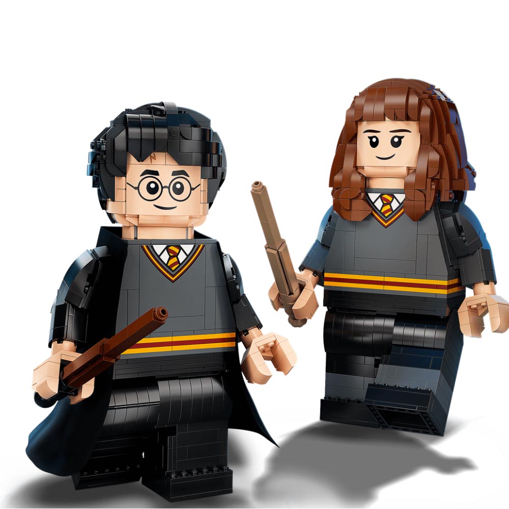 LEGO 76393 Harry Potter - Harry Potter & Hermione Granger™