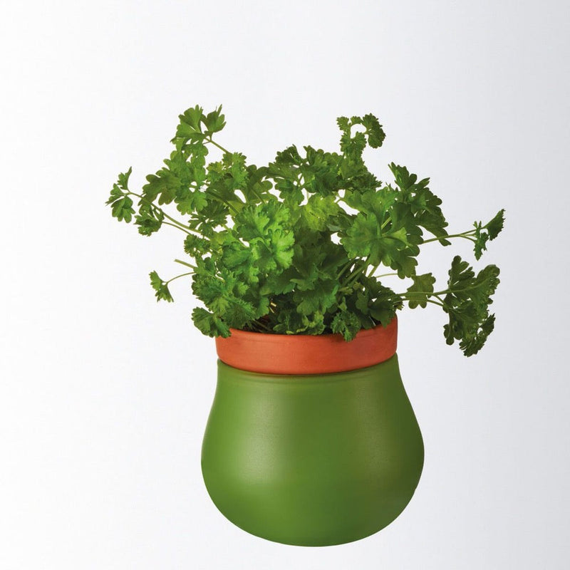 Leonardo Plant Pot Planter Green with Pot Insert SERRA Small – 2 Pieces
